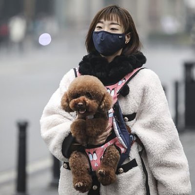 China – Verbot des Verzehrs von Hundefleisch
